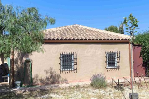 Landejendom i Caudete, Albacete, Caudete - € 165.000 | Ref: SF0576 - foto 15